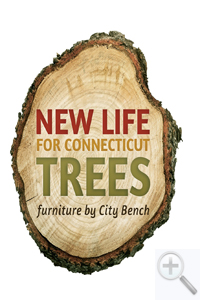 Turning Connecticuts Trees into Furniture