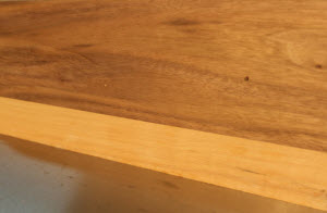 Reviewing the Grizzly 8 Jointer