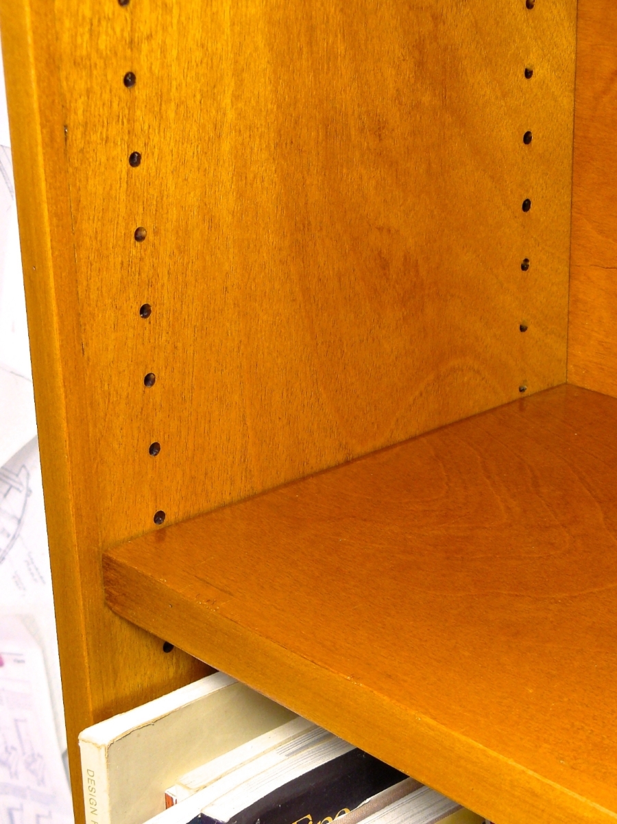 bookcase shelf pins