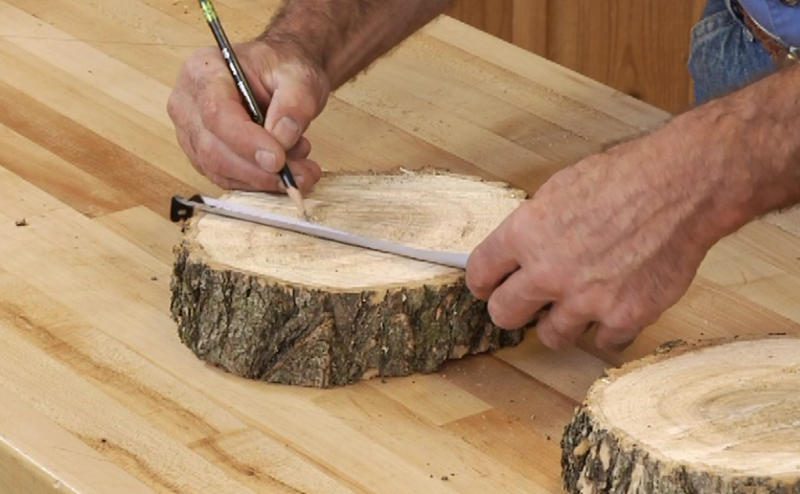 Marking on a small tree stump slice