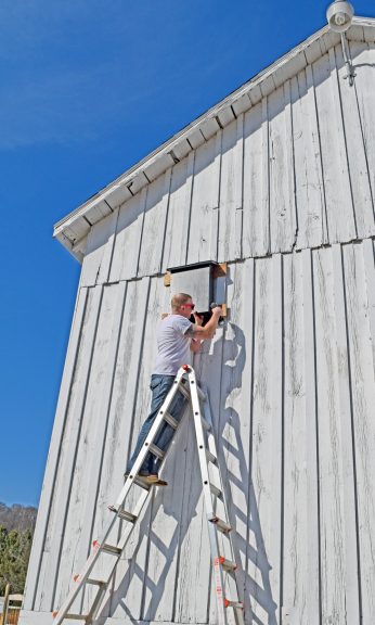 adding a bat house to the side of a barn