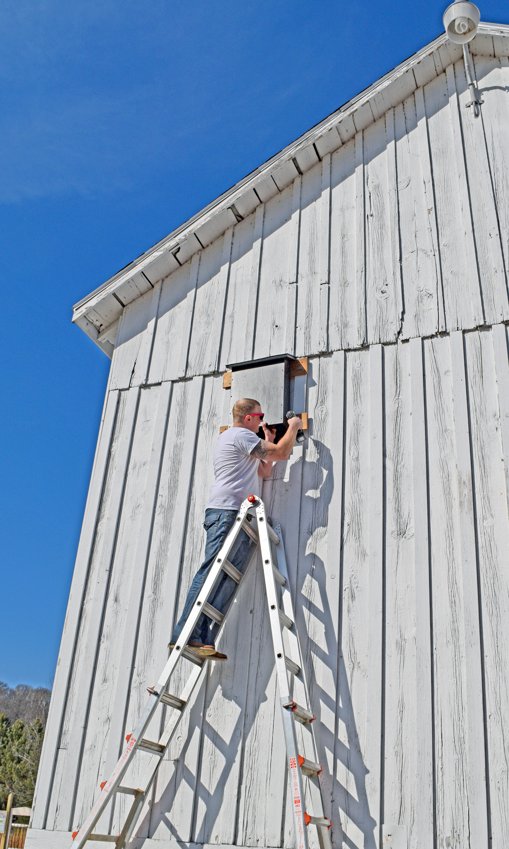 adding a bat house to the side of a barn