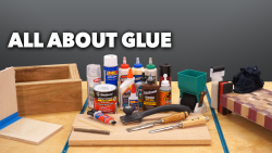 Variety of glue bottles