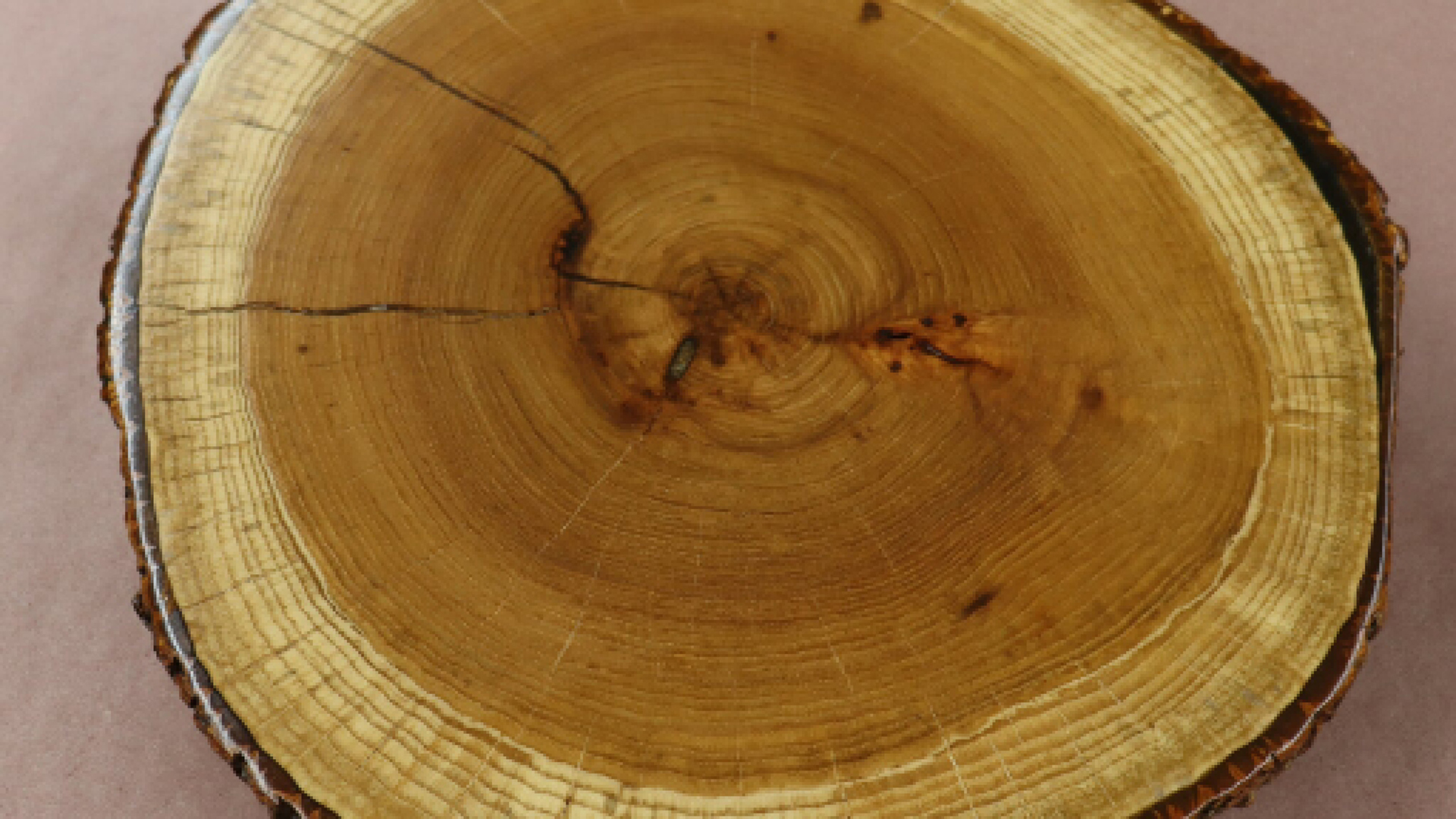 round piece of wood