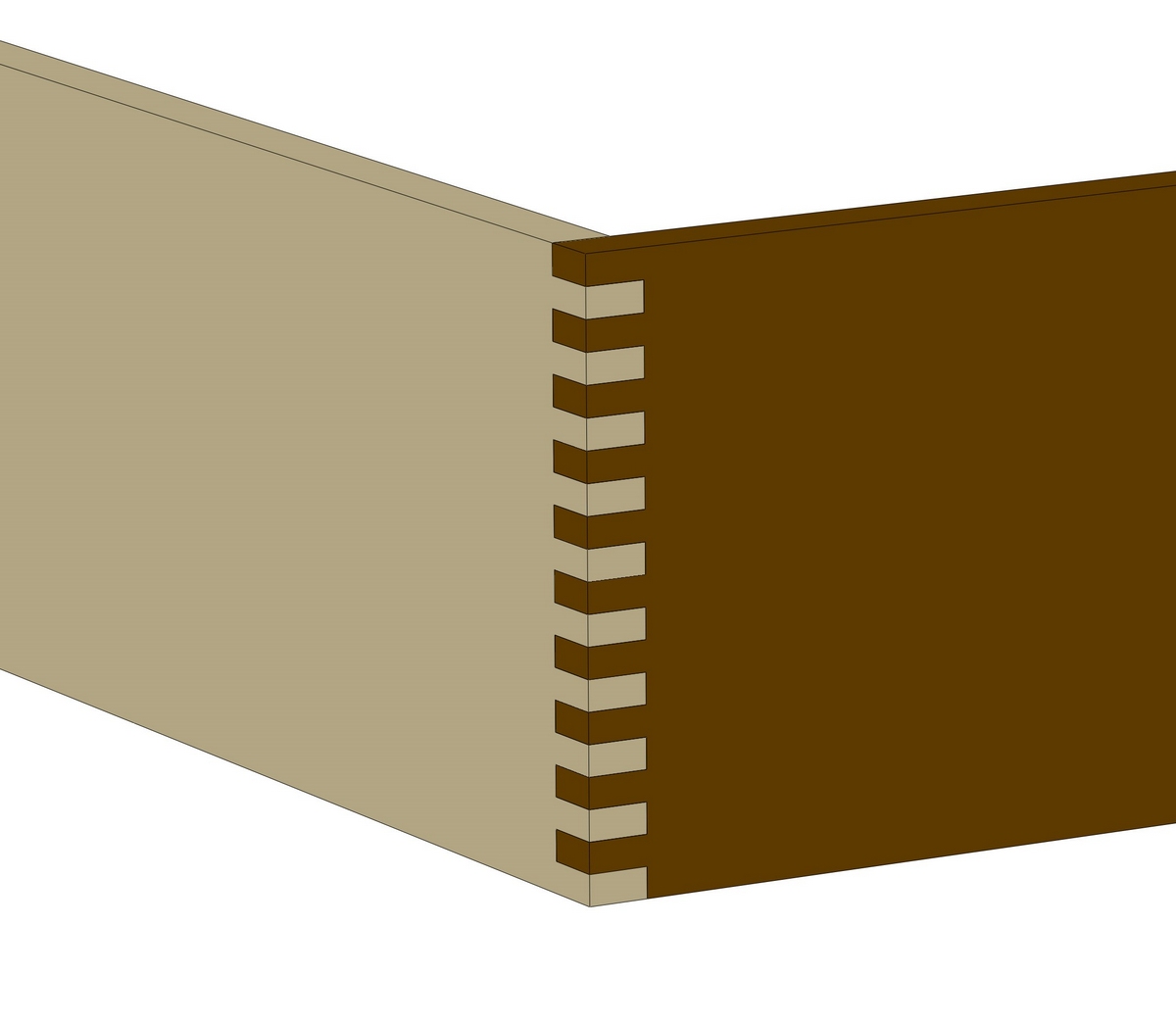 digital illustration of a finger joint