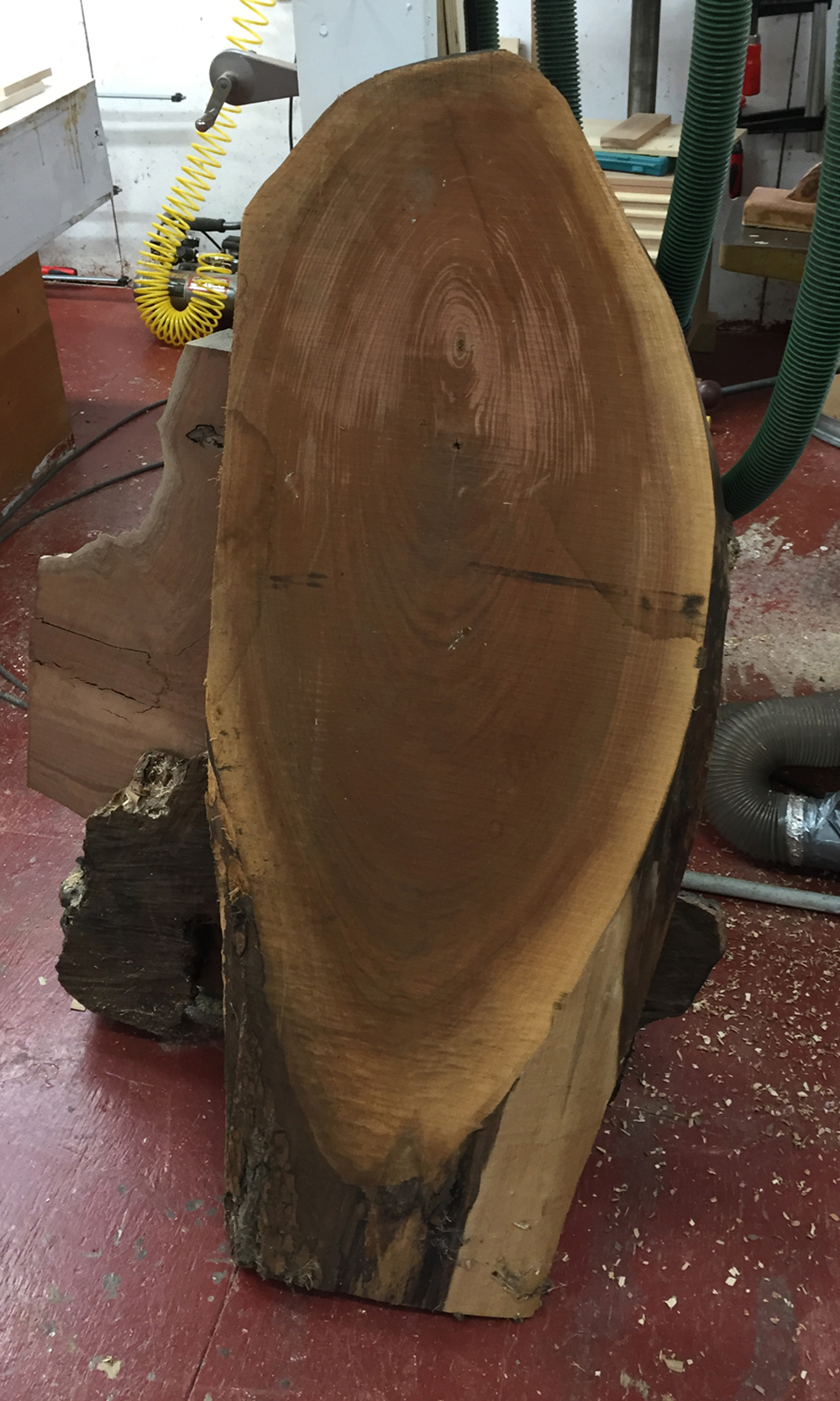 large slab of wood